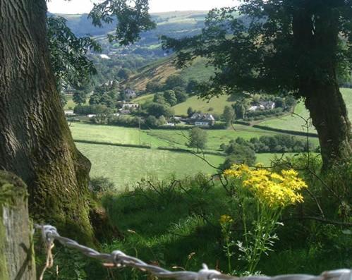 Horseshoe Pass Holiday Lets Llangollen Værelse billede